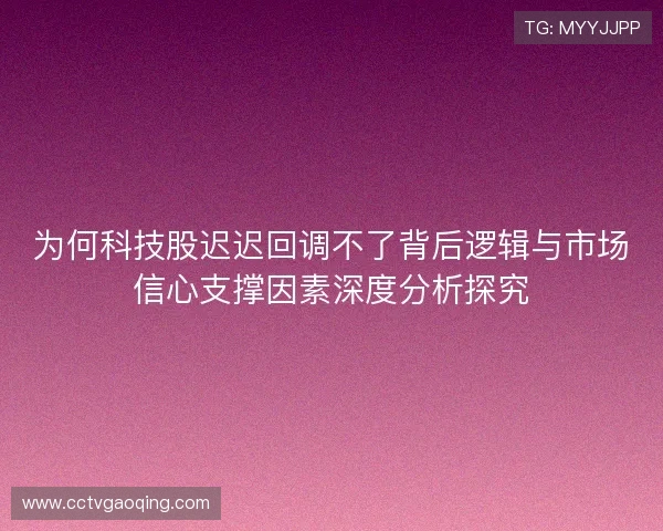 为何科技股迟迟回调不了背后逻辑与市场信心支撑因素深度分析探究